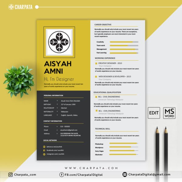 Professional Clean Elegant Resume