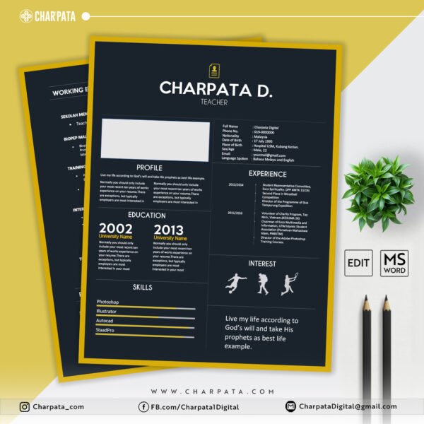 Modern Resume Template