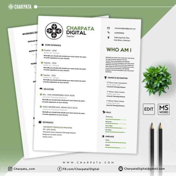 Modern Resume Template