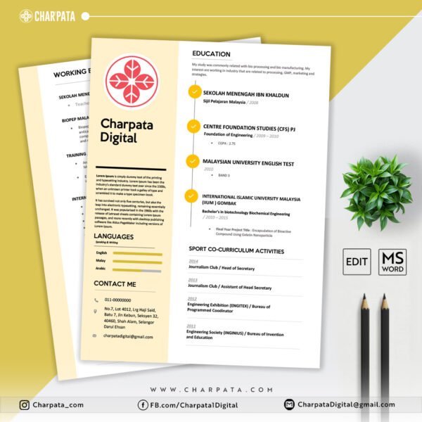 Modern Resume Template