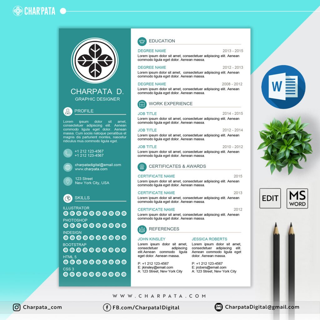 Modern Resume Design