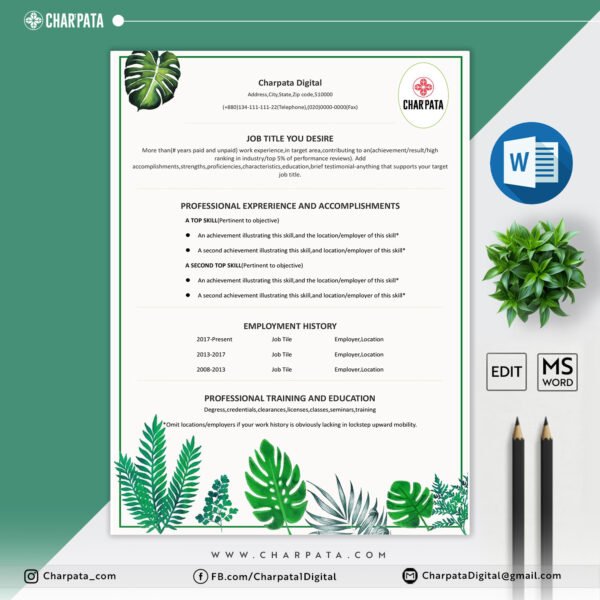 Modern Resume Design