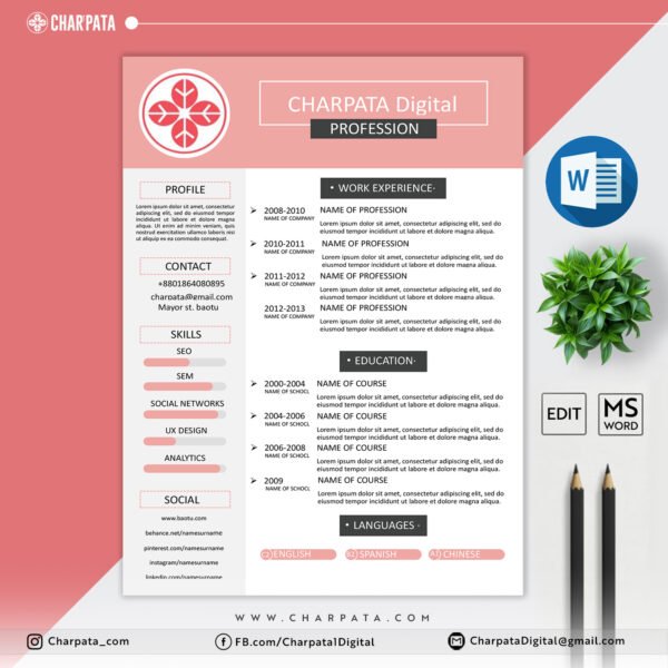 Modern Resume Design