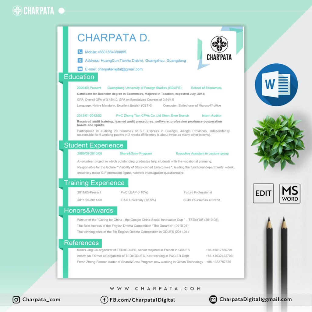 Modern Resume Design