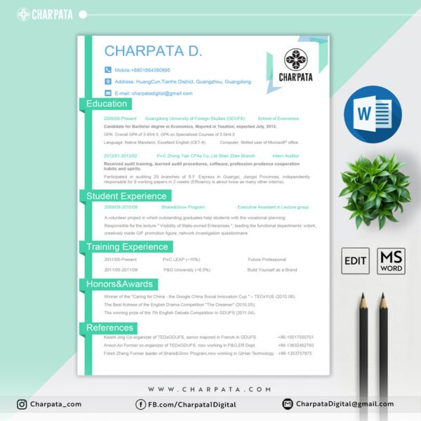 Modern Resume Design