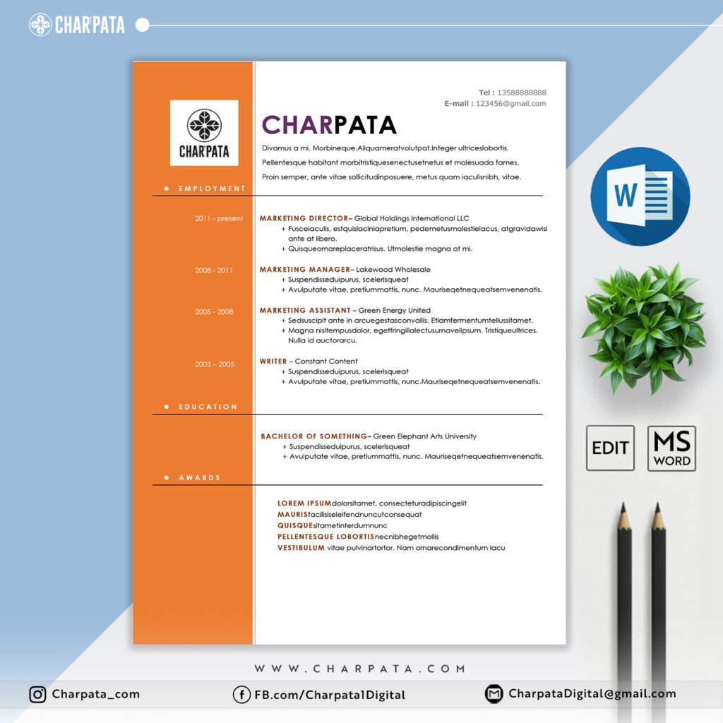 Modern CV Layout MS Word CV for Job Application