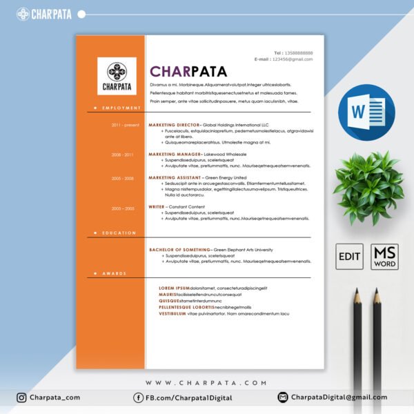 Modern CV Layout MS Word CV for Job Application