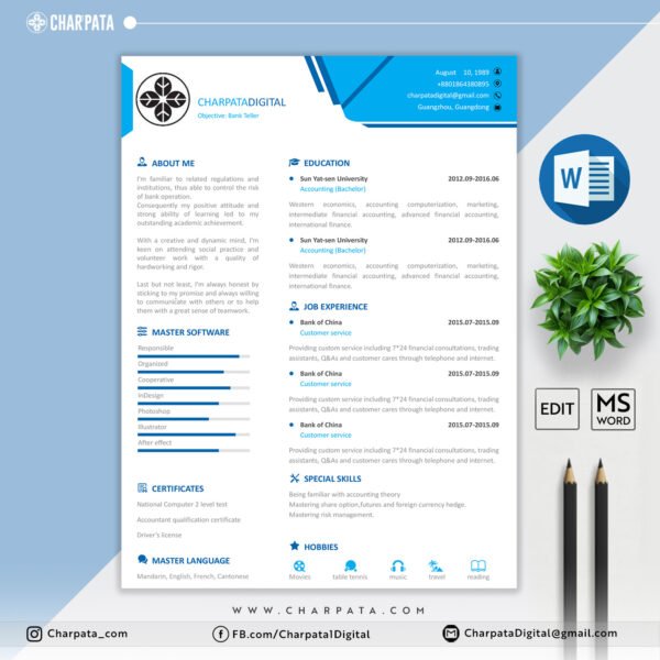 Modern Resume Format