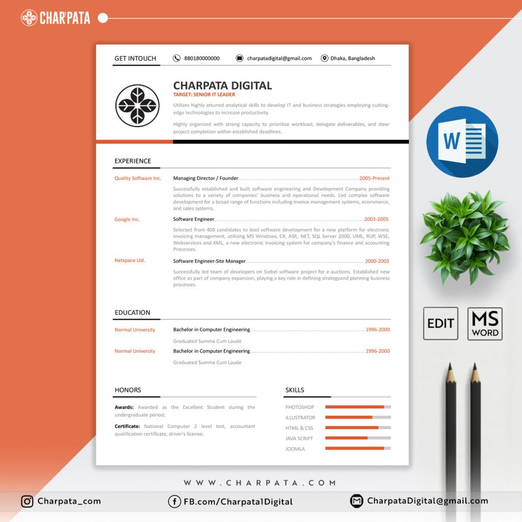 Modern Resume Format