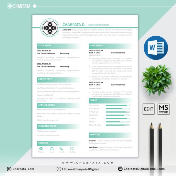 Modern Resume Format