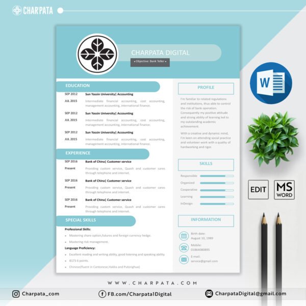 Modern Resume Format