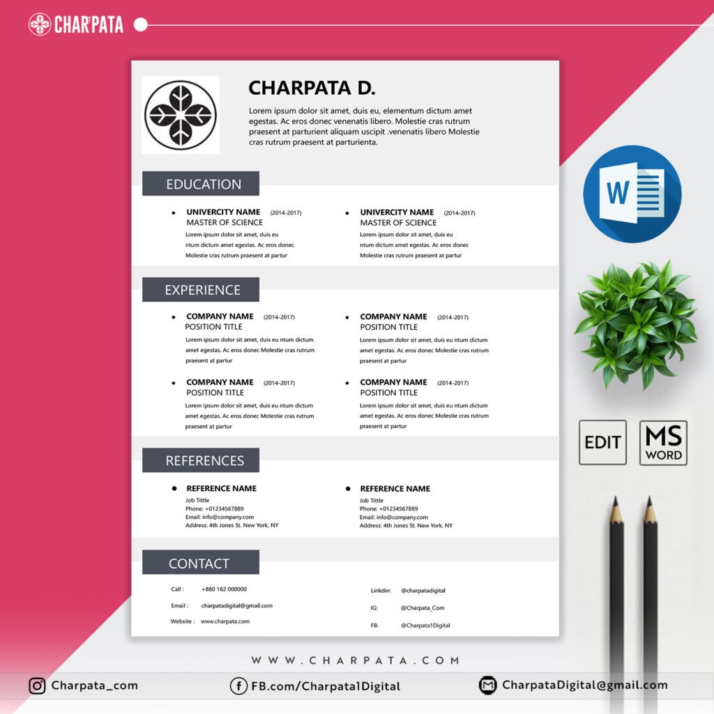 Professional Resume Template