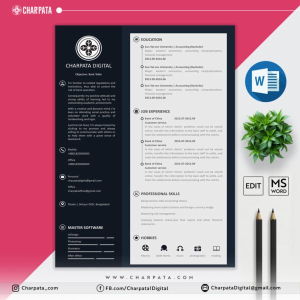 Professional Resume Template