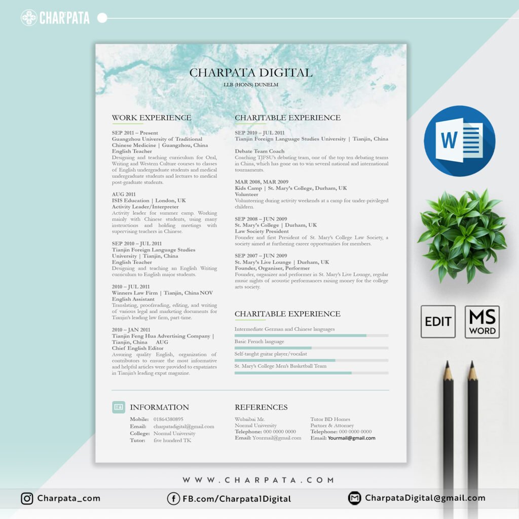 Professional Resume Template