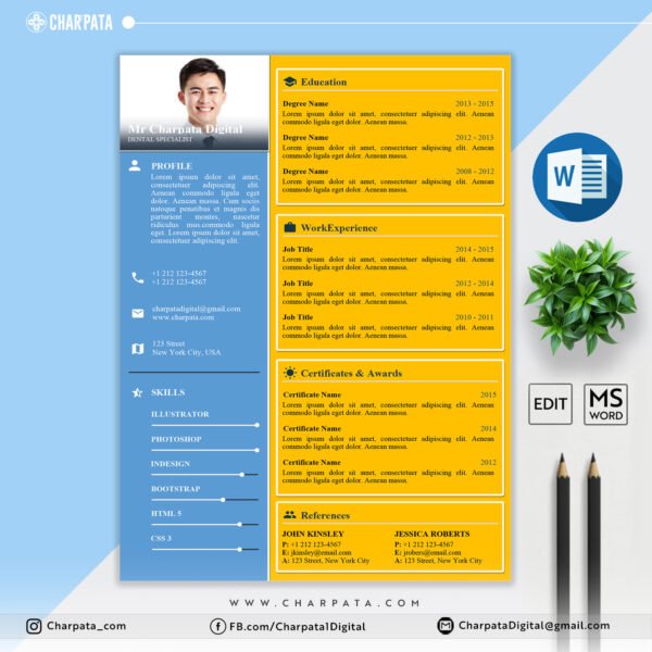 Professional CV Template