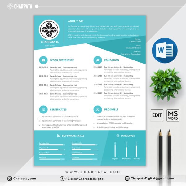 Professional CV Template