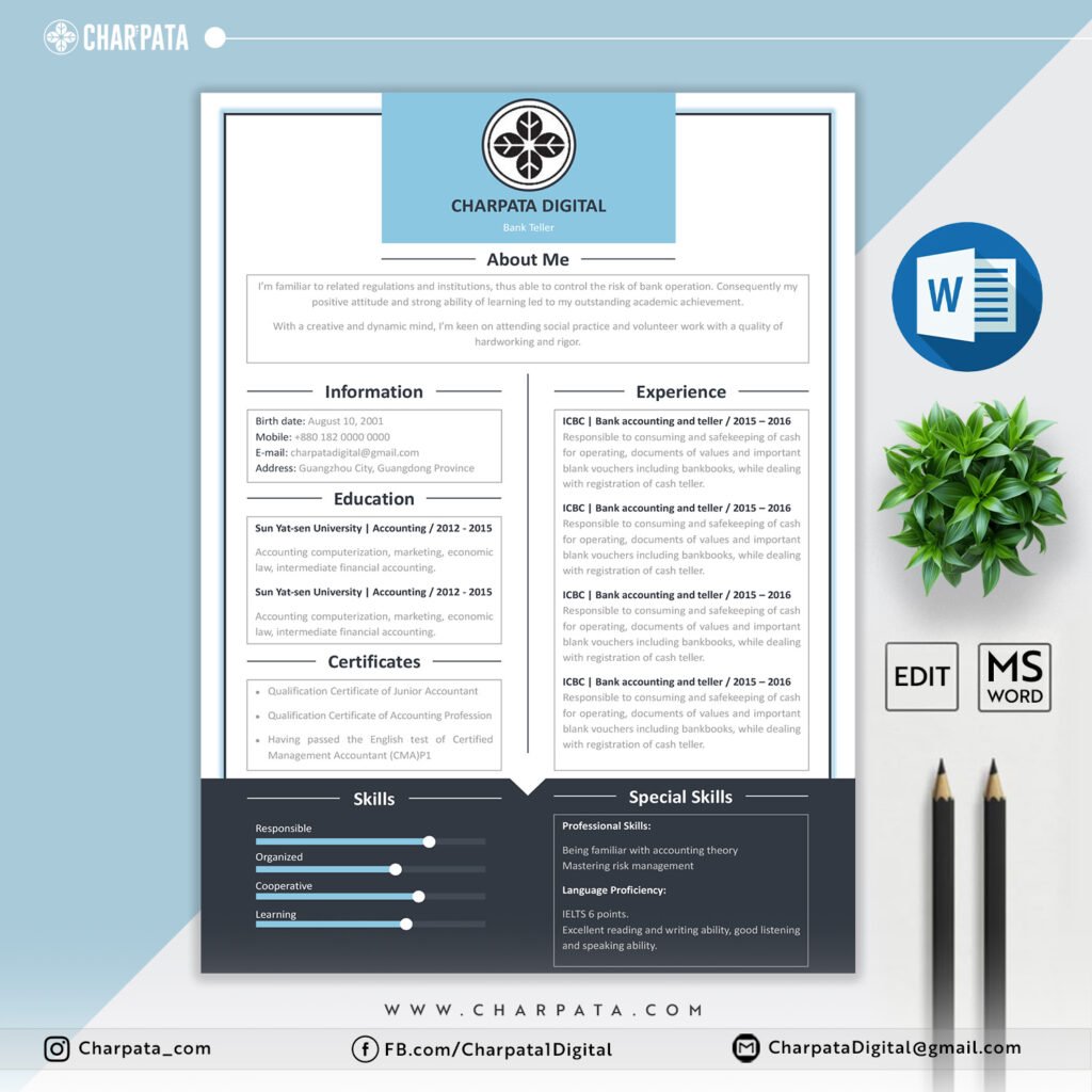 Professional CV Template