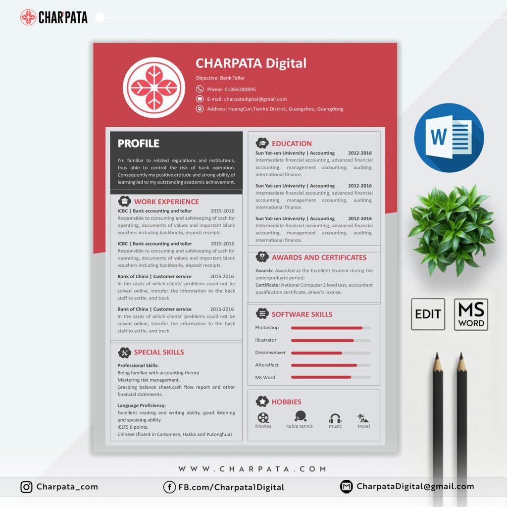 Professional CV Template