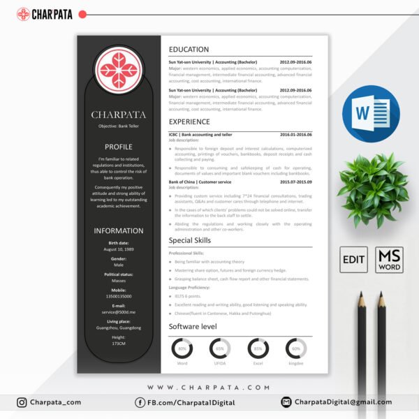 Professional CV Template
