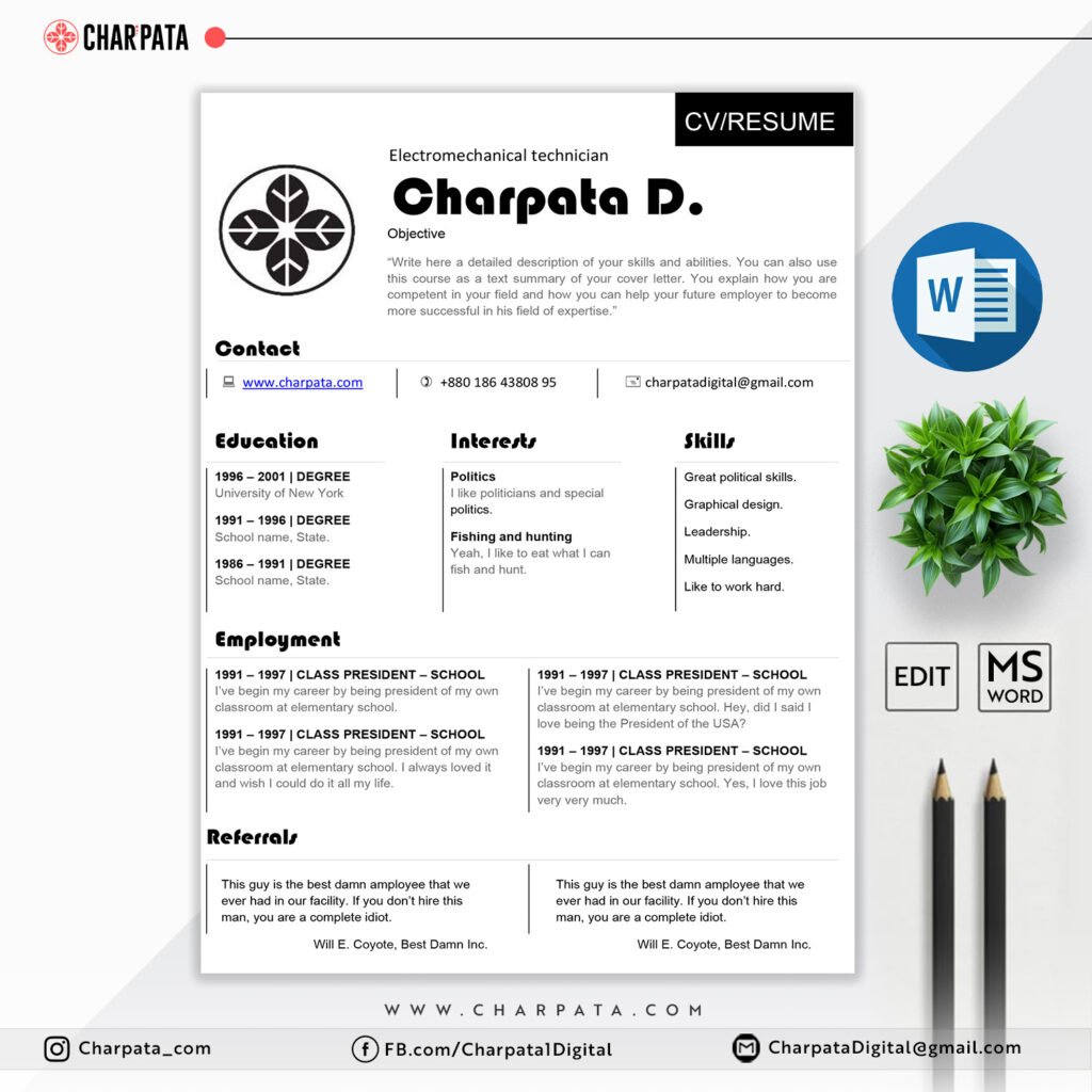 Professional CV Template