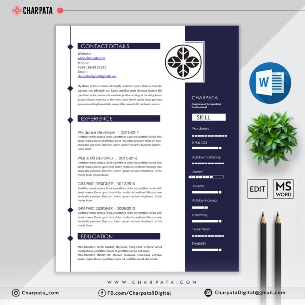 Professional Resume Design
