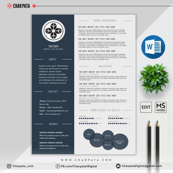 Professional Resume Design