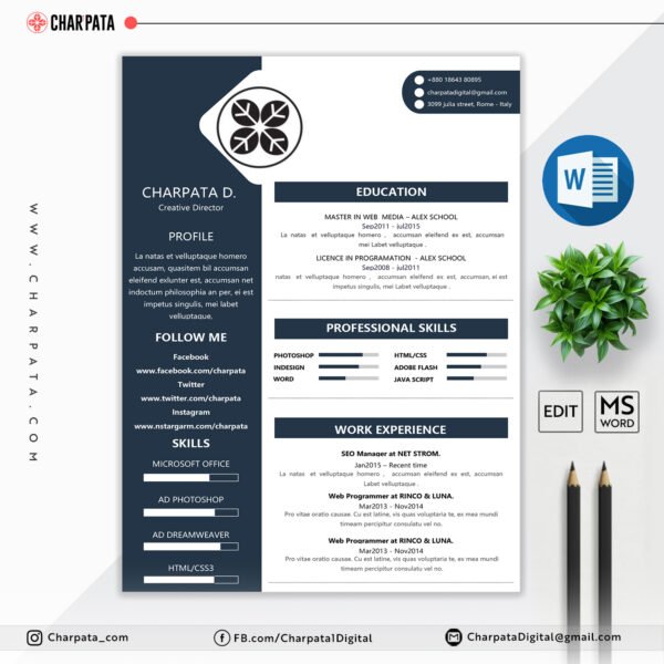 Professional Resume Design