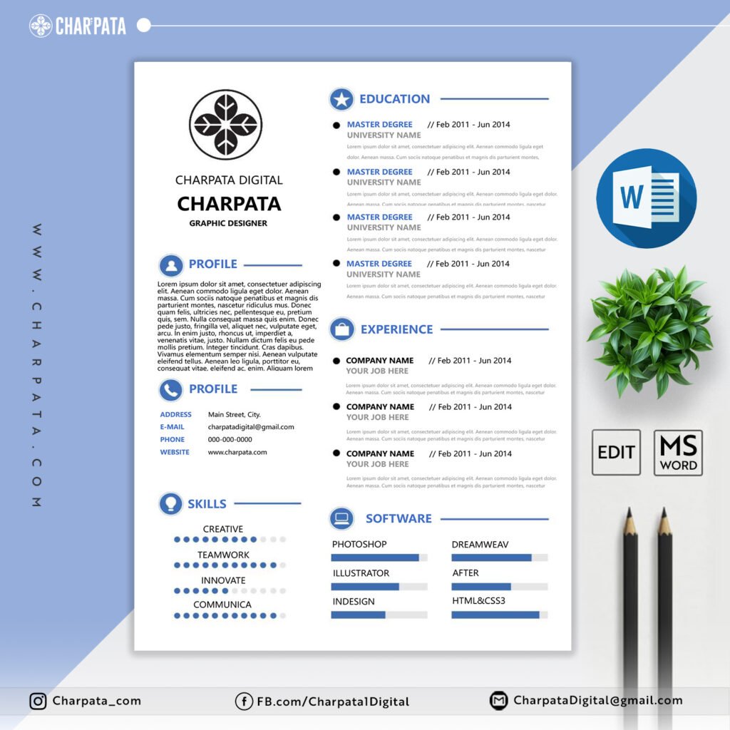 Professional Resume Design