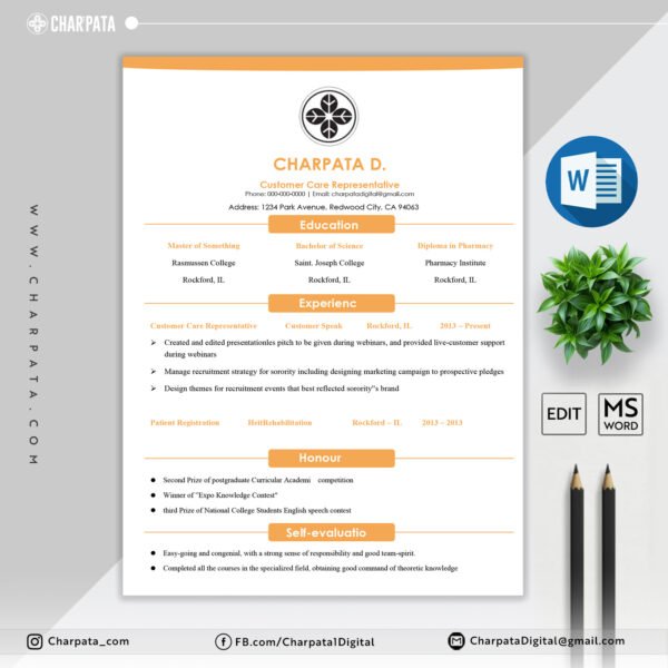 Professional Resume Design