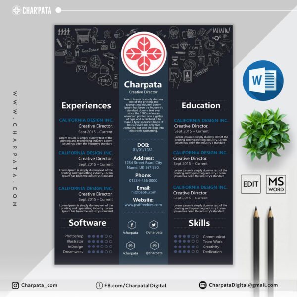 Professional CV Layout