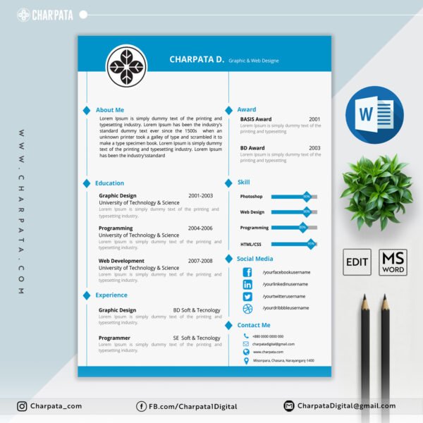 Professional CV Layout