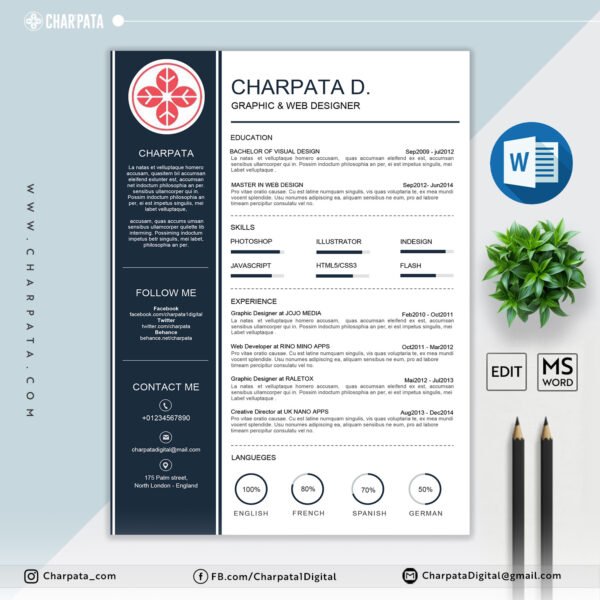 Professional CV Layout