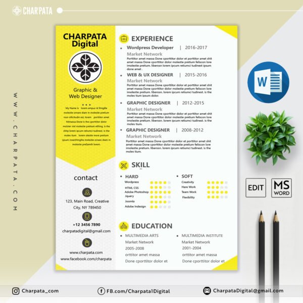 Professional CV Layout