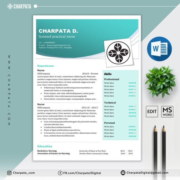 Professional CV Layout