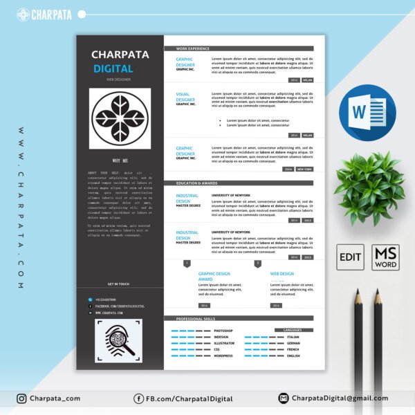 Professional Resume Format
