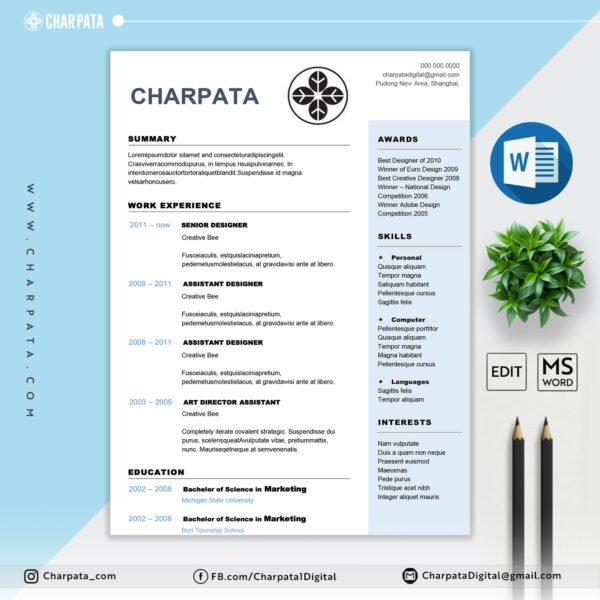 Professional Resume Format