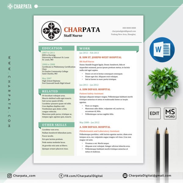 Professional Resume Format