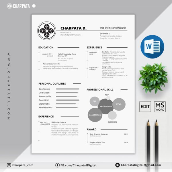 Professional Resume Format