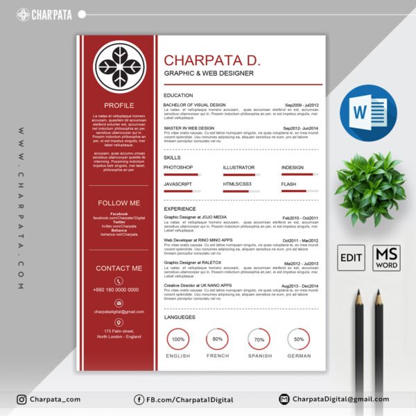 Professional Resume Format